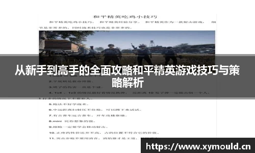 从新手到高手的全面攻略和平精英游戏技巧与策略解析